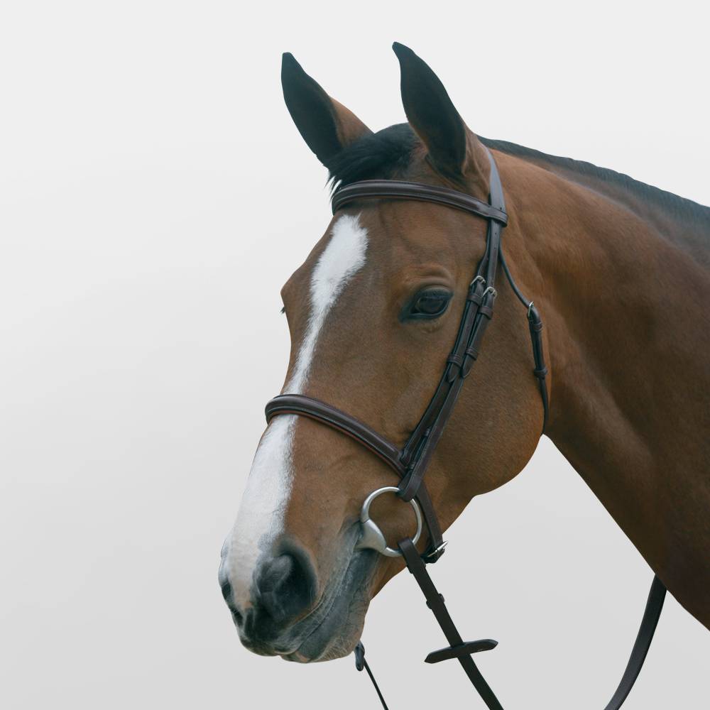 FSS Traditional Flat Hunter Hunt Show Cavesson Noseband Sewn On Flash Attachment 